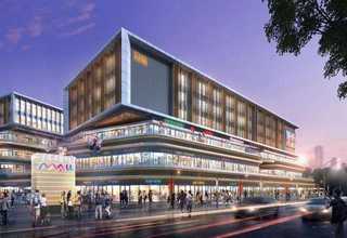 魔芋种子哪家好