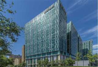 新吴区防治白蚁